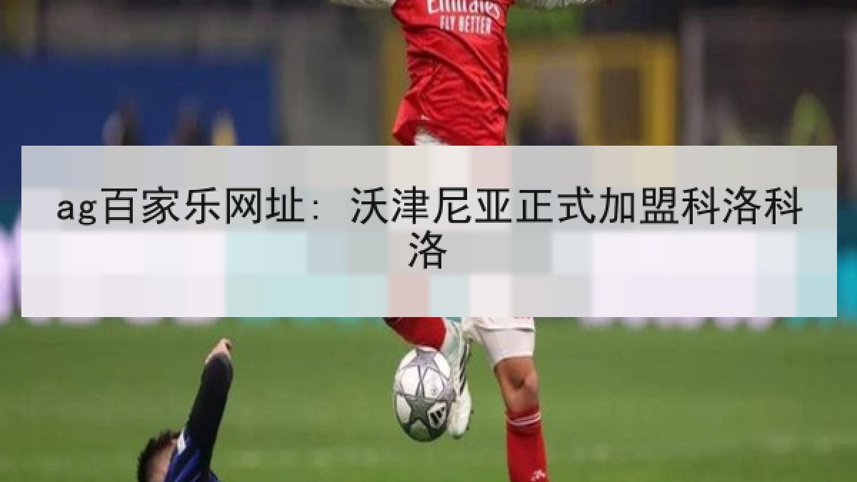 ag百家乐网址: 沃津尼亚正式加盟科洛科洛 ag百家乐网址: 沃津尼亚正式加盟科洛科洛
