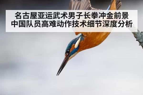 名古屋亚运武术男子长拳冲金前景 中国队员高难动作技术细节深度分析